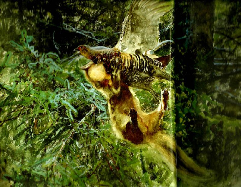 bruno liljefors barrskog med skogsmard anfallande en orrhona oil painting picture